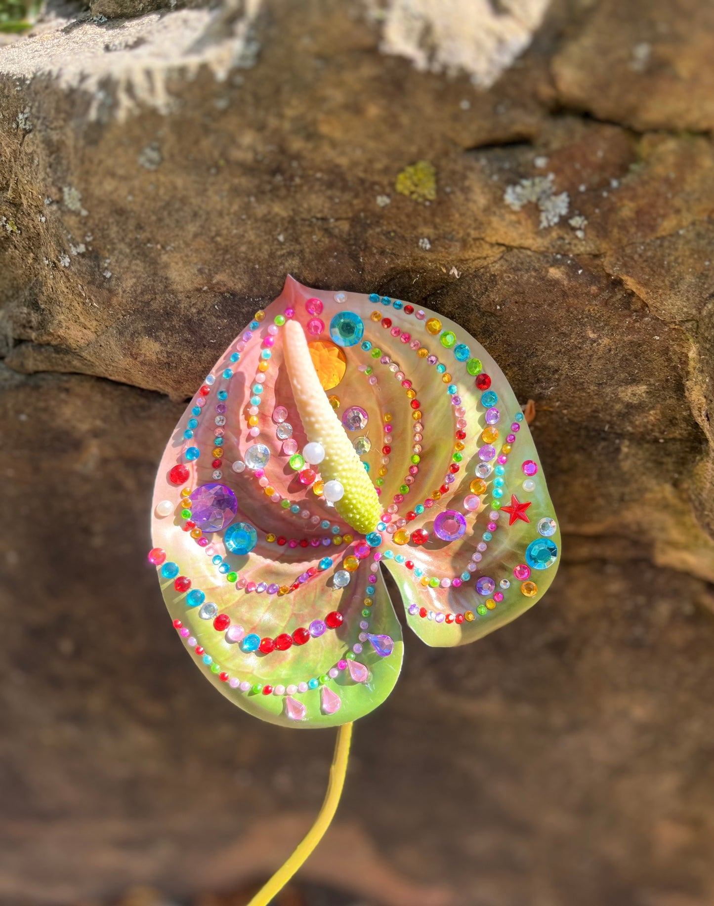 Fierce Floral - Chappell