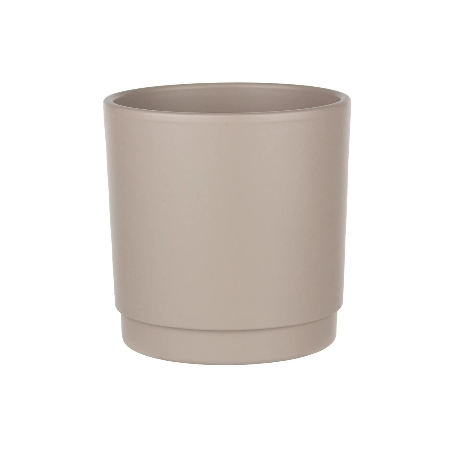 Lemon Cypress Plant - Light Grey Pot