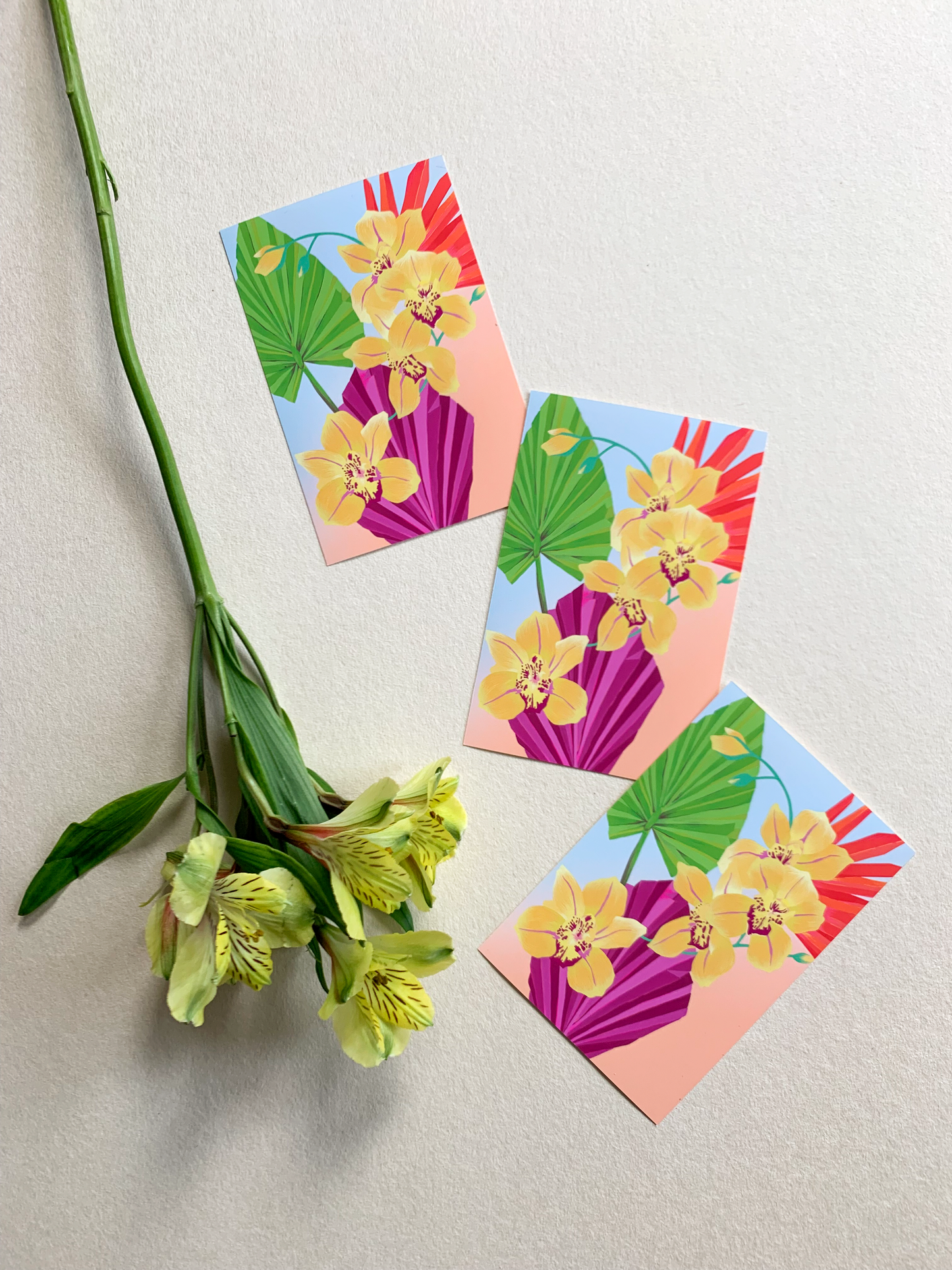 Petalpushr x Eunie Colours: Postcards