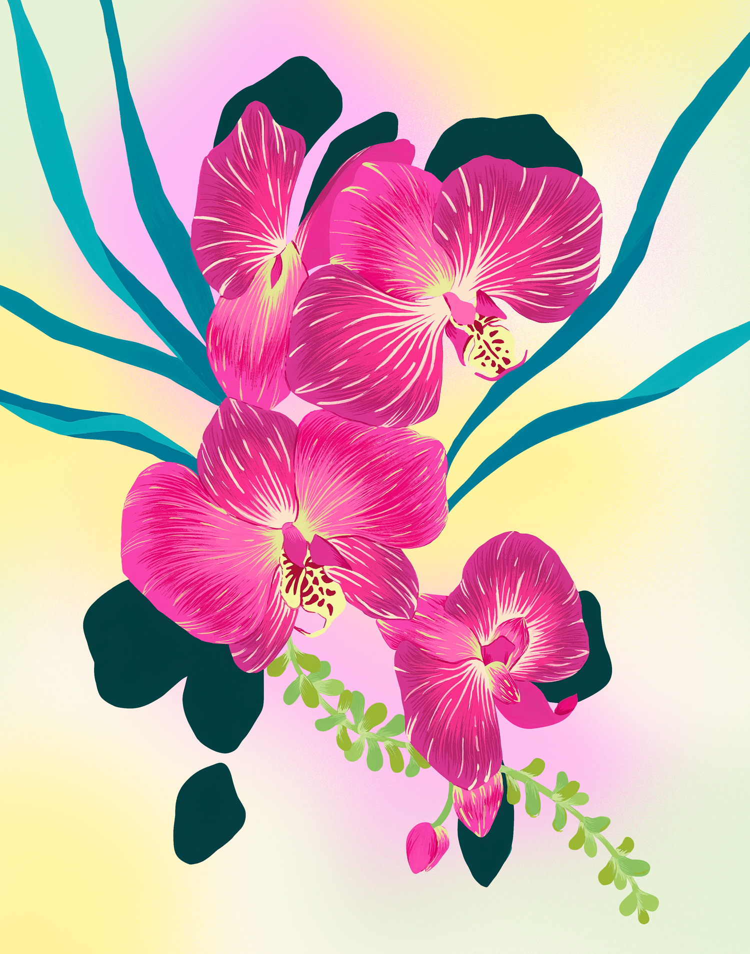 Petalpushr x  Eunie Colours