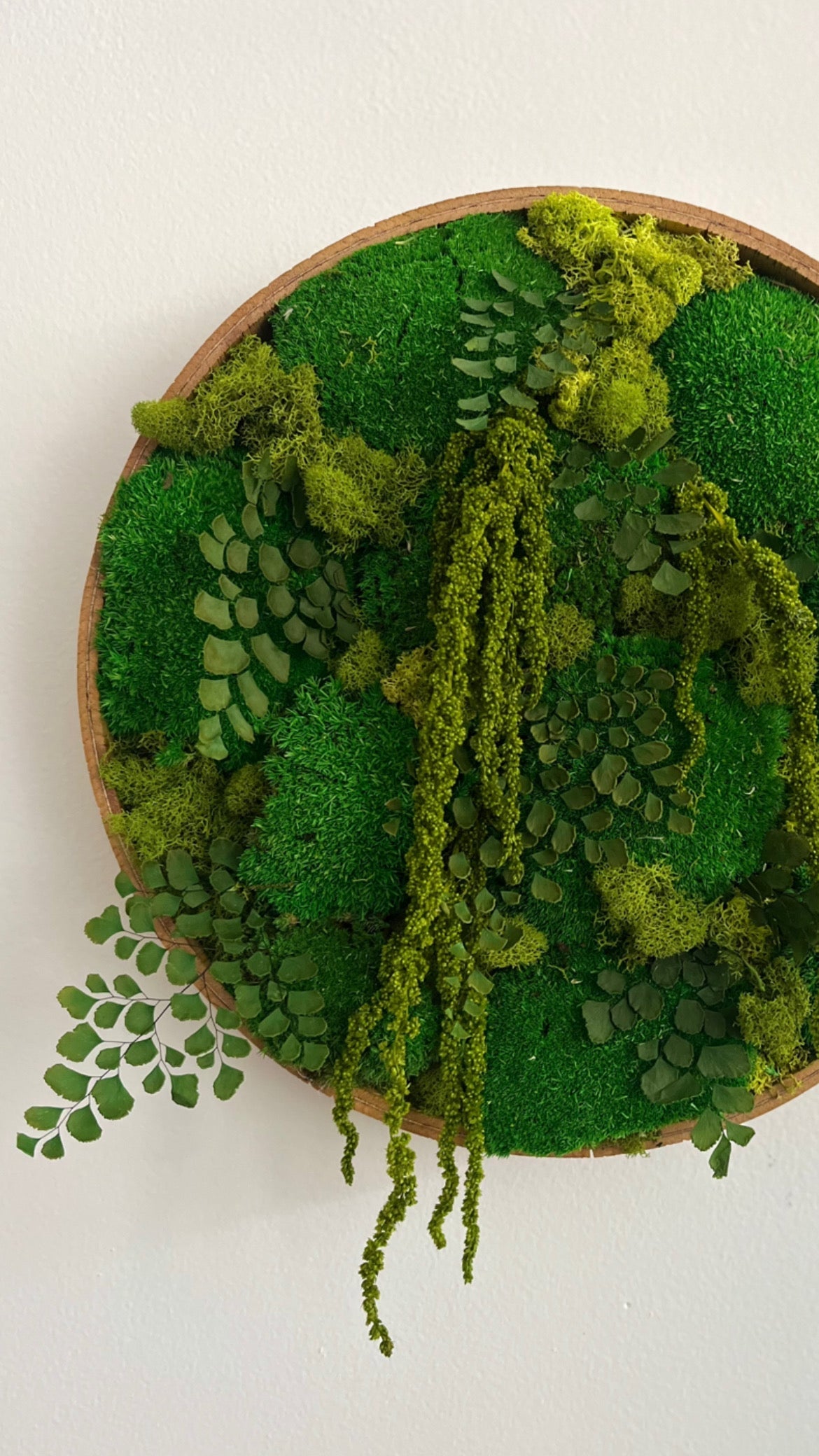 Moss Art