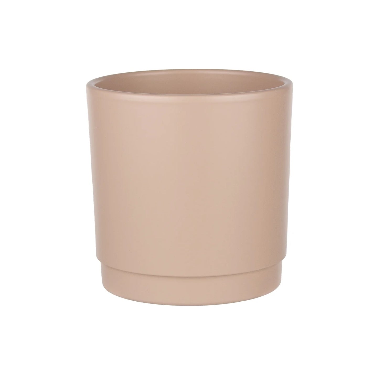 Lemon Cypress Plant - Blush Pot