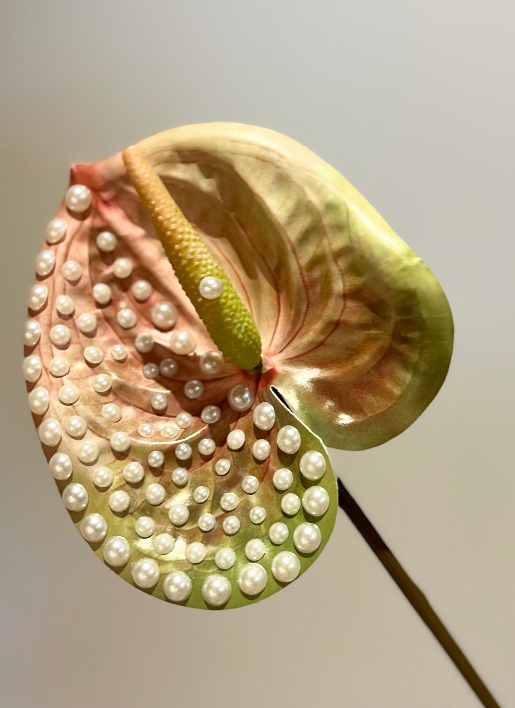 Fierce Floral – petalpushr
