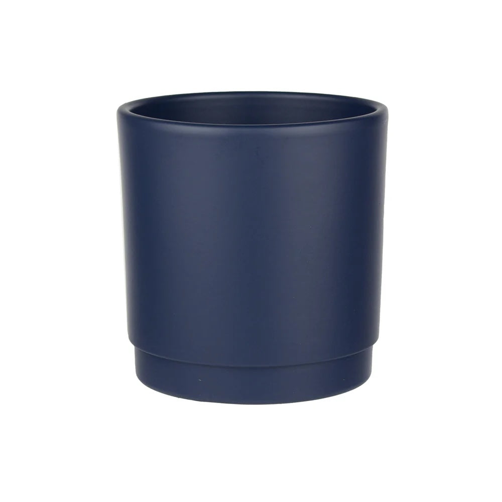 Lemon Cypress Plant - Midnight Blue Pot