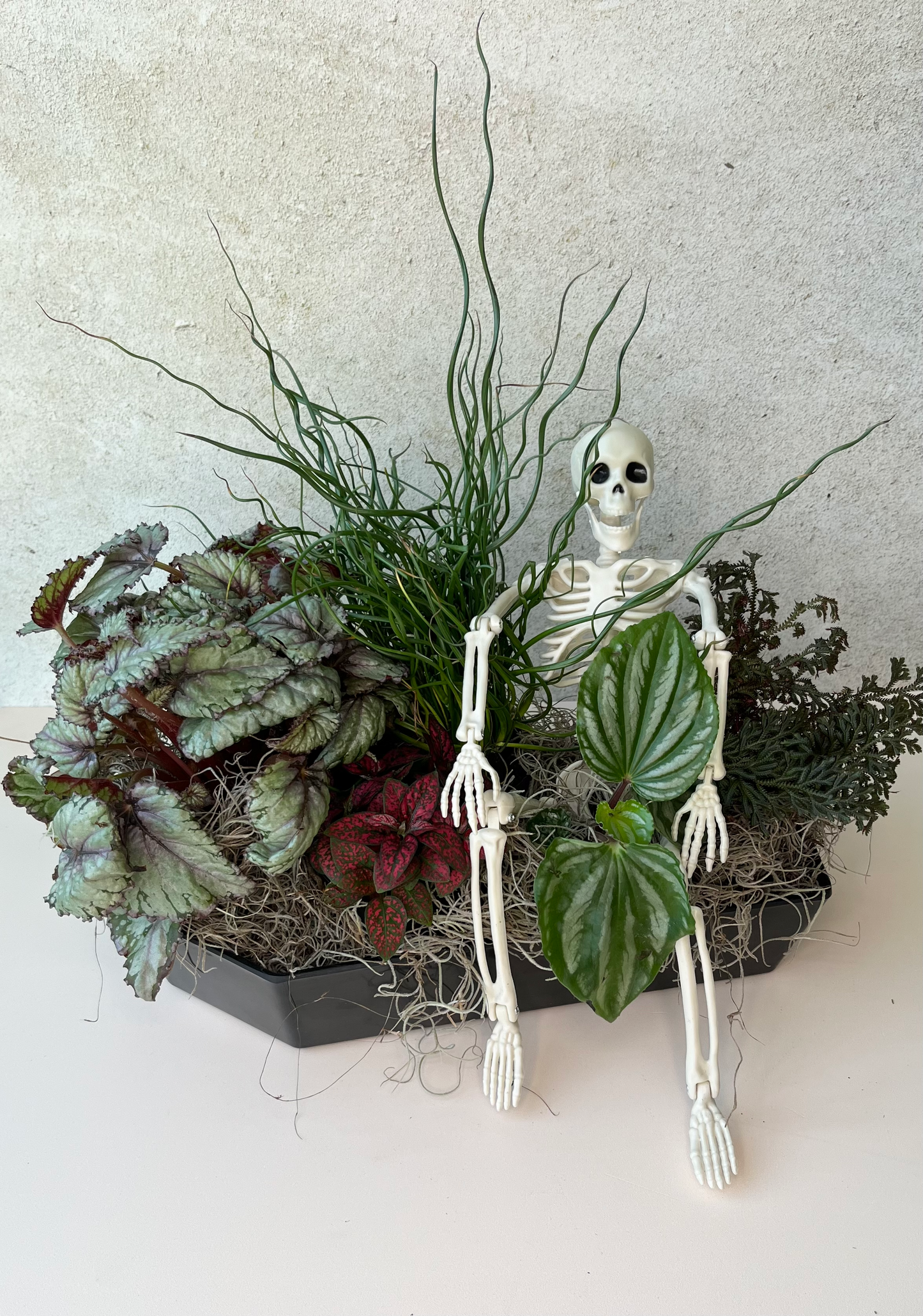 Skelly Planter