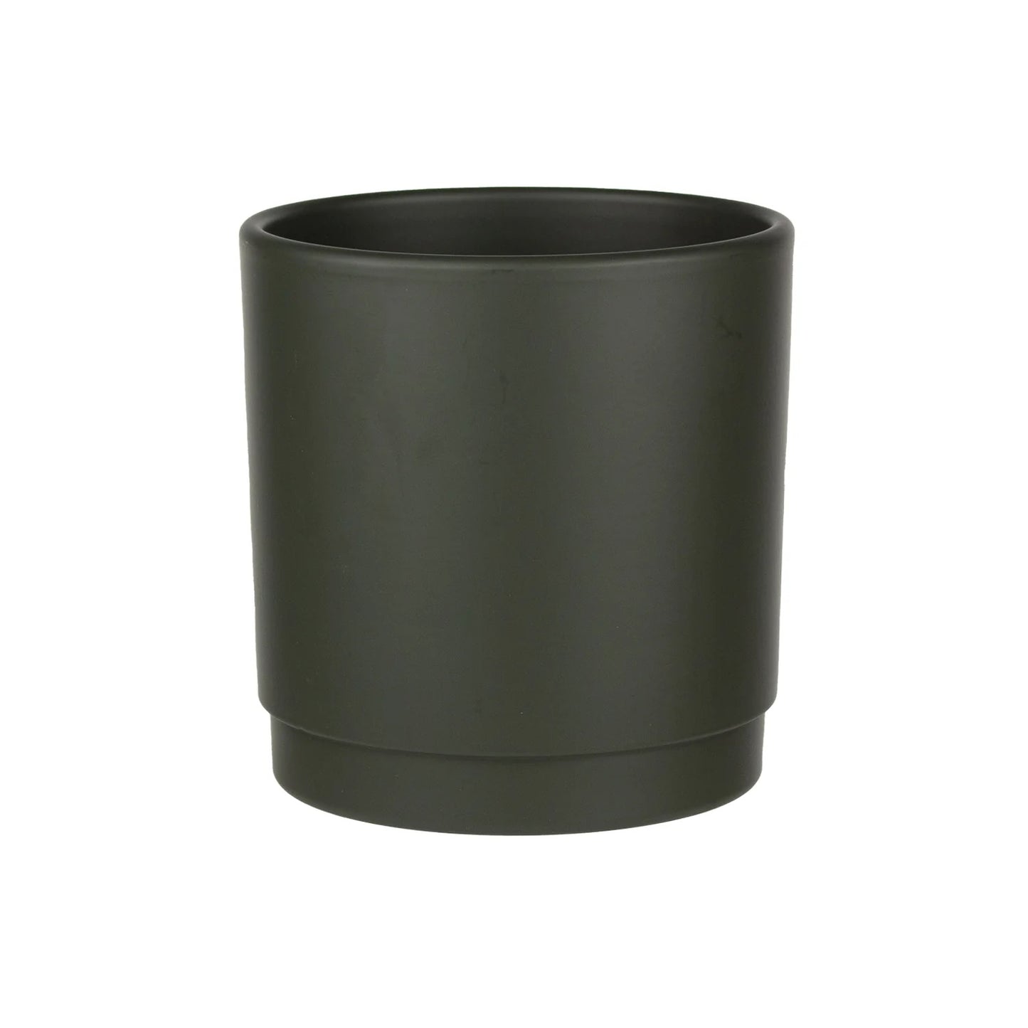 Lemon Cypress Plant - Slate Grey / Deep Olive Pot