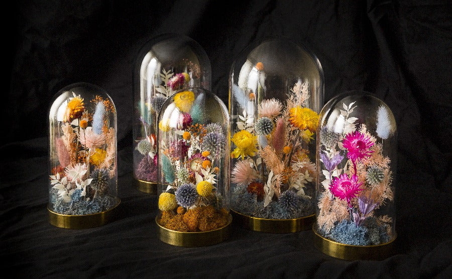 Lights & Brights on Gold Large Floral Dome