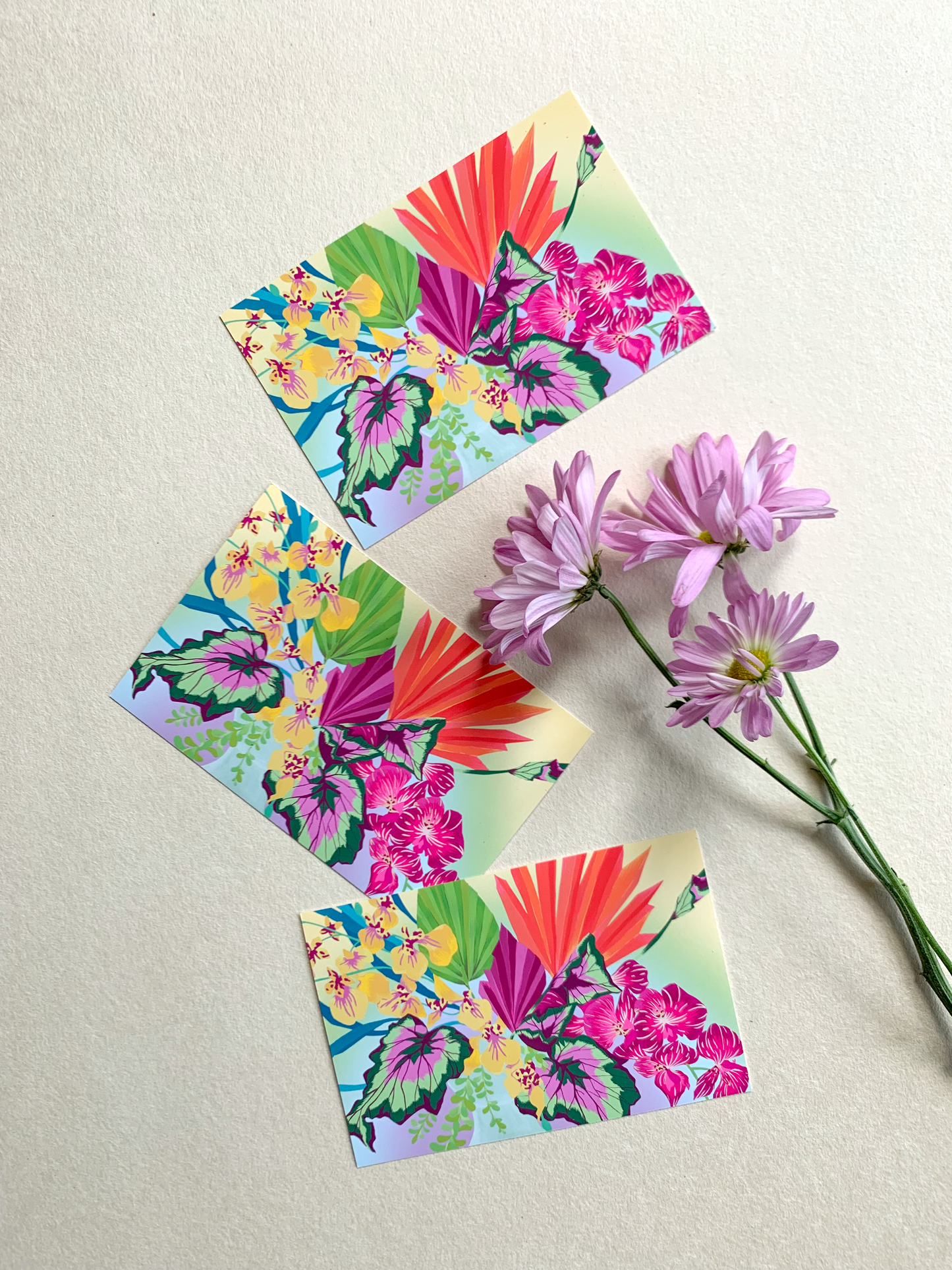 Petalpushr x Eunie Colours: Postcards