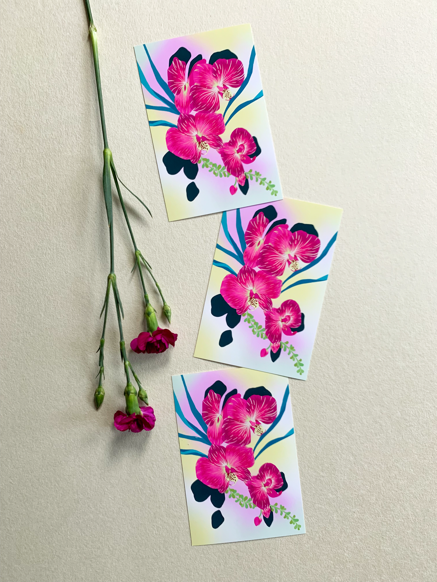 Petalpushr x Eunie Colours: Postcards