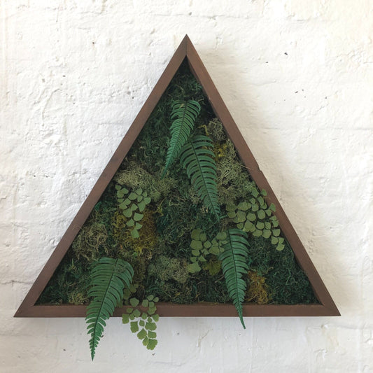 Dark Wood Triangle with Fern