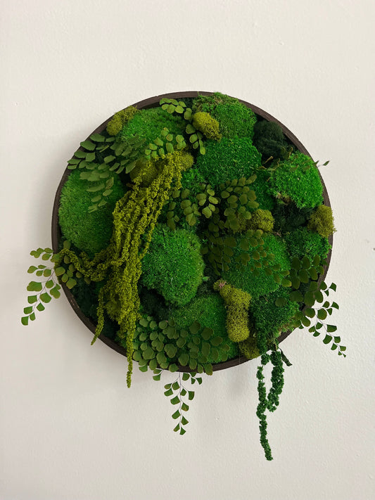 Dark Wood Circle with Fern